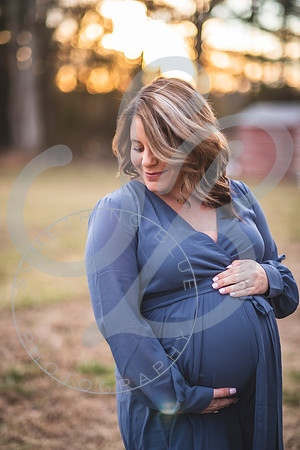 Erin - Maternity_012322_0417