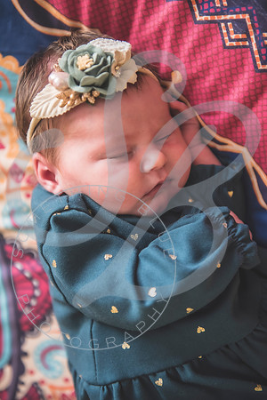 Parker - Newborn_030222_0105