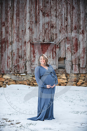 Erin - Maternity_012322_0077