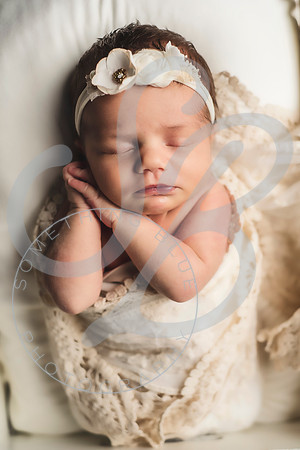 mm_031622_0369