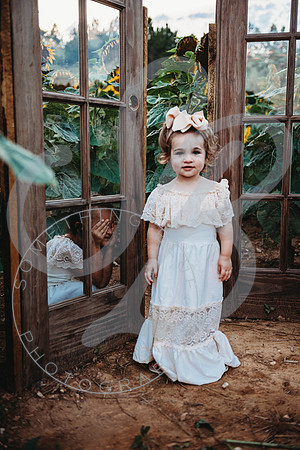 Sunflower Minis - Katelin_071222_0071