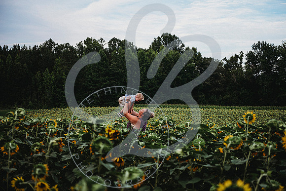 Sunflower Minis - Sherri_071422_0033