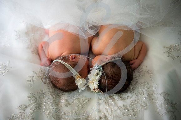 Adcock Twins - Newborn_070225_0263