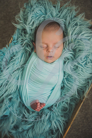 Crue - Newborn_083121_0207