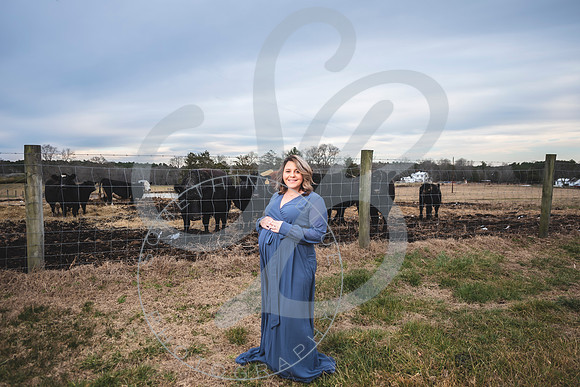 Erin - Maternity_012322_0175