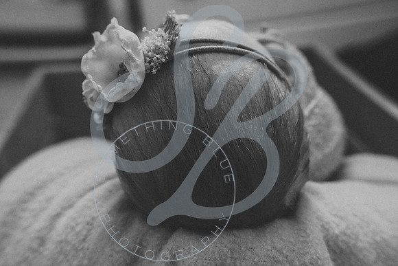 Eliana - Newborn_071522_0059