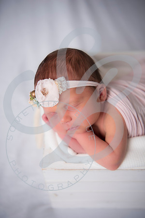 Adcock Twins - Newborn_070225_0199