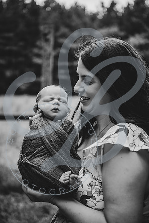 Brady - Newborn_081925_0278