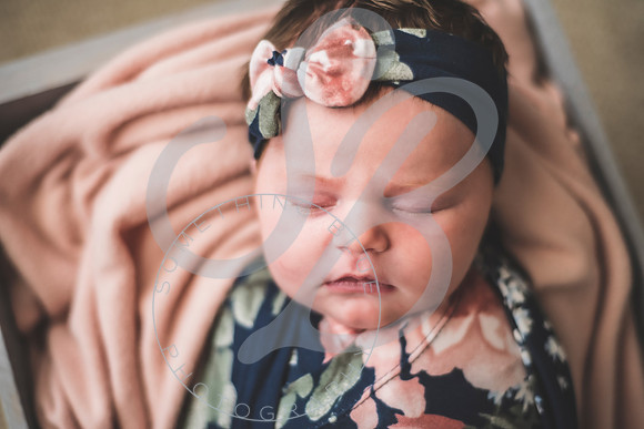 Parker - Newborn_030222_0281