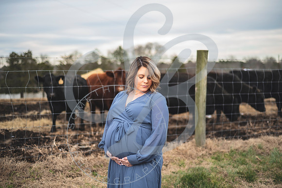 Erin - Maternity_012322_0193