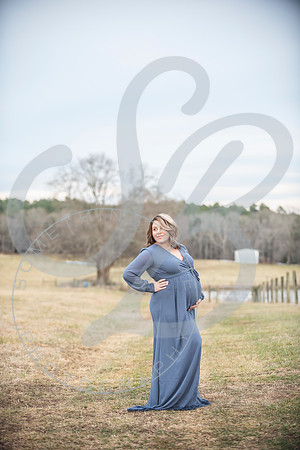 Erin - Maternity_012322_0314