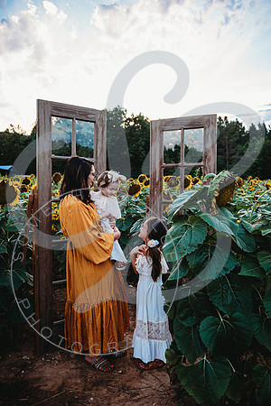 Sunflower Minis - Katelin_071222_0030
