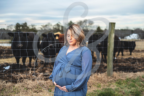Erin - Maternity_012322_0185