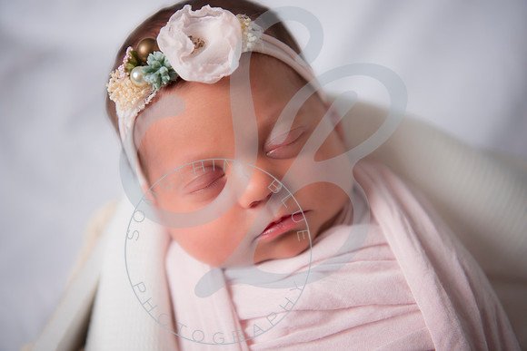 Adcock Twins - Newborn_070225_0159