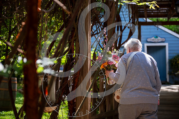 Sarah & Alex - Slideshow.048