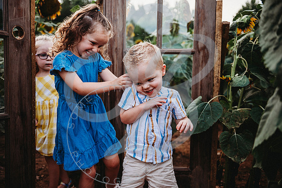 Sunflower Minis - Sherri_071422_0202