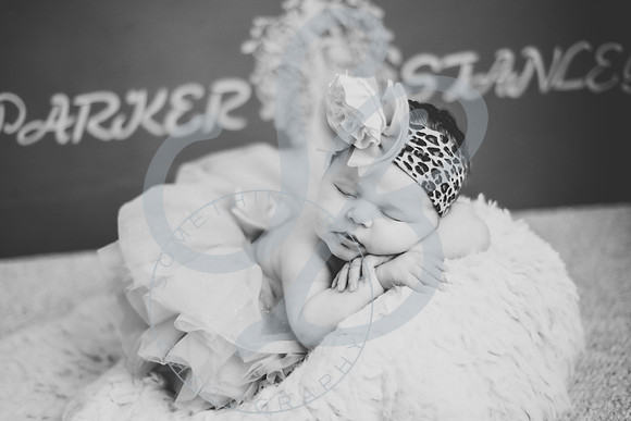 Parker - Newborn_030222_0393
