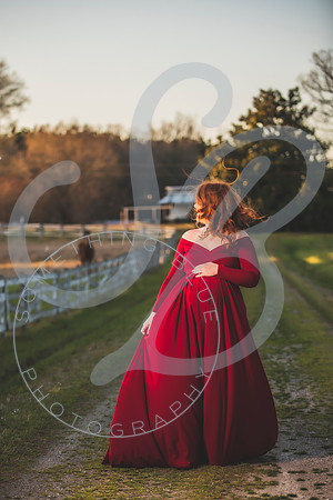 Meaghan - Maternity_032622_0424