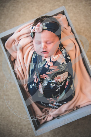 Parker - Newborn_030222_0271