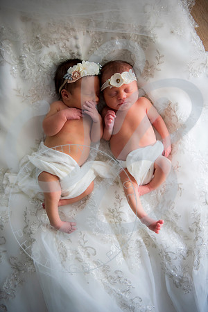 Adcock Twins - Newborn_070225_0248