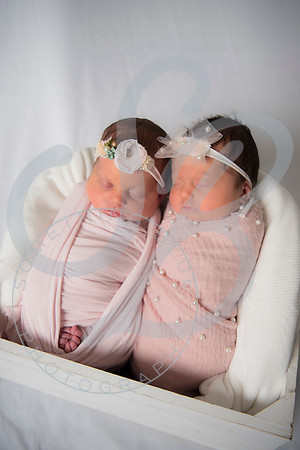 Adcock Twins - Newborn_070225_0099