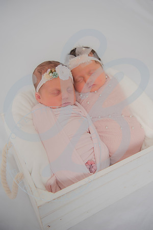 Adcock Twins - Newborn_070225_0105