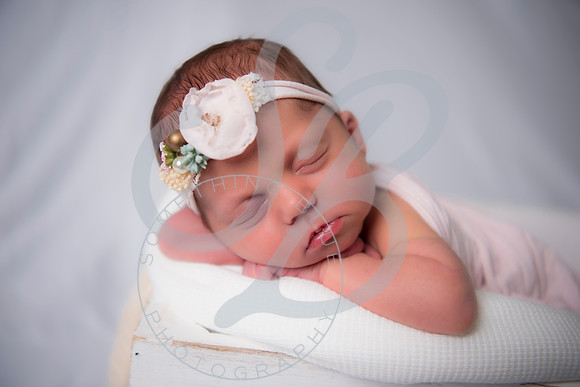 Adcock Twins - Newborn_070225_0174