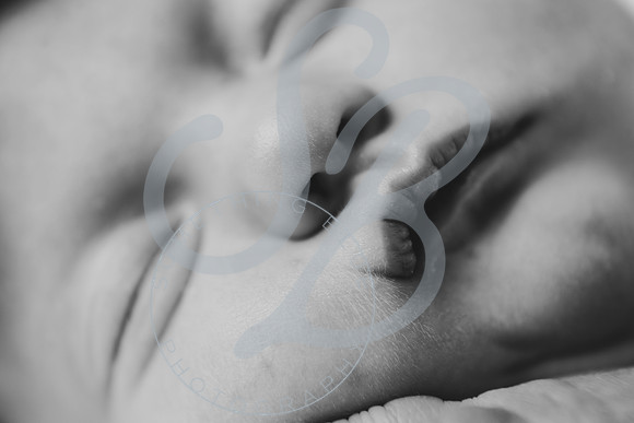 Adcock Twins - Newborn_070225_0316