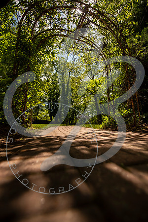 Sarah & Alex - Slideshow.033