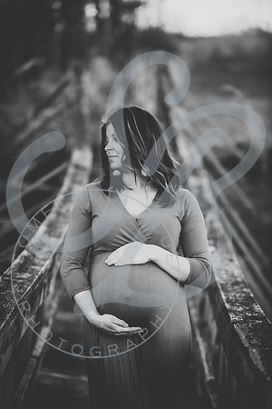Vicki - Maternity_020922_0189