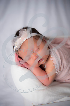 Adcock Twins - Newborn_070225_0153
