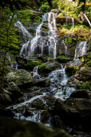 Josh Proposal_060625_0085