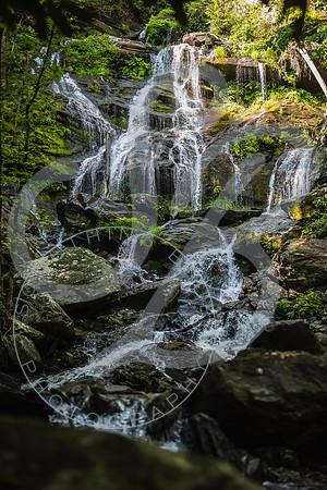 Josh Proposal_060625_0085