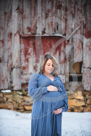 Erin - Maternity_012322_0100