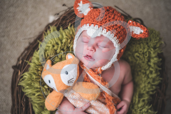 Parker - Newborn_030222_0420