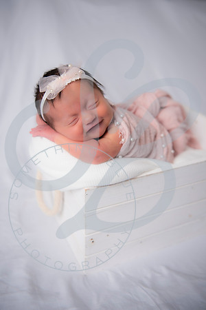 Adcock Twins - Newborn_070225_0142