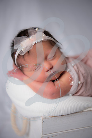 Adcock Twins - Newborn_070225_0138