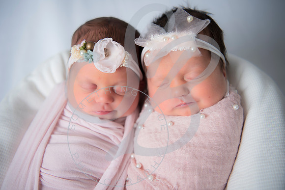 Adcock Twins - Newborn_070225_0111