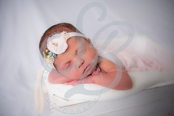 Adcock Twins - Newborn_070225_0179