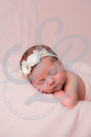 Adcock Twins - Newborn_070225_0309