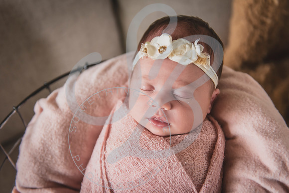 Mia - Newborn_052424_0391
