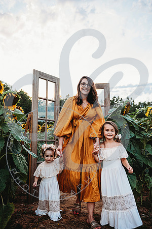 Sunflower Minis - Katelin_071222_0045