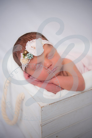 Adcock Twins - Newborn_070225_0190