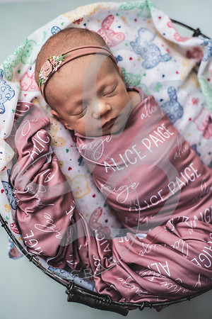 Alice - Newborn_030822_0157