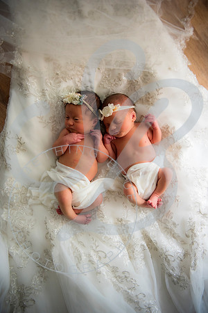 Adcock Twins - Newborn_070225_0229