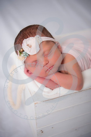 Adcock Twins - Newborn_070225_0191