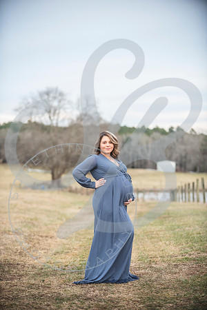 Erin - Maternity_012322_0299