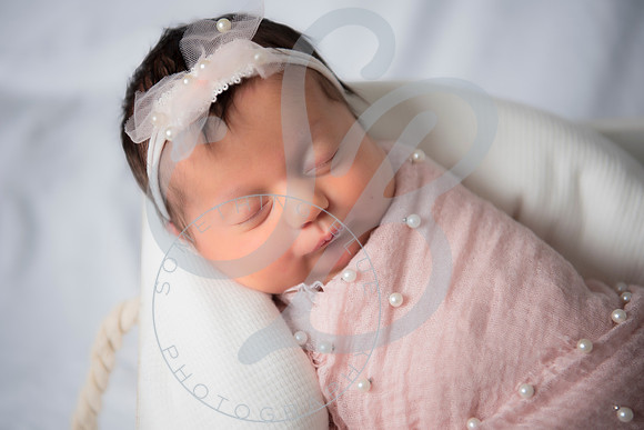 Adcock Twins - Newborn_070225_0130