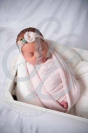 Adcock Twins - Newborn_070225_0158
