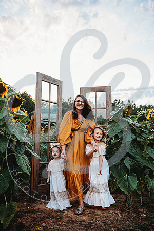 Sunflower Minis - Katelin_071222_0043